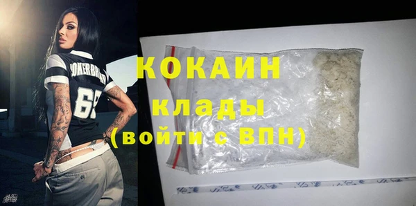 шишки Михайлов
