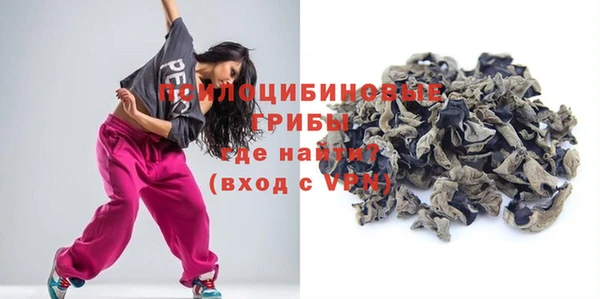 шишки Михайлов