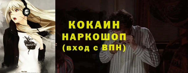 шишки Михайлов