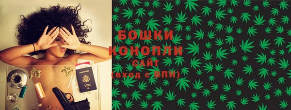 мдпв Михайловск