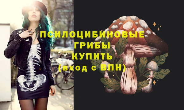 шишки Михайлов