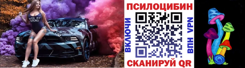 Галлюциногенные грибы Psilocybe Киреевск